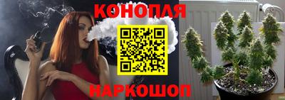 прущие крисы Брянск