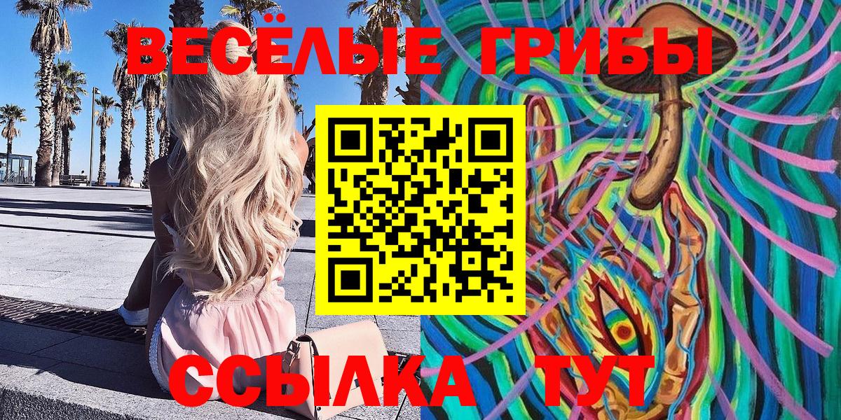 Галлюциногенные грибы Psilocybine cubensis  Галлюциногенные грибы ЛСД  Вход с VPN  Новошахтинск 